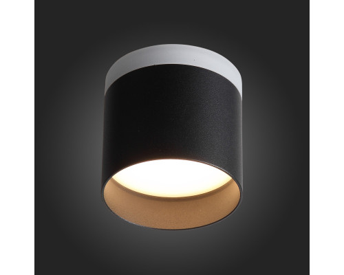 Оформить заказ Накладной светильник ST-Luce ST102.402.09| VIVID-LIGHT.RU