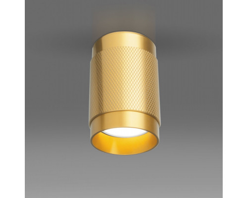 Сделать заказ Накладной светильник Elektrostandard DLN109 GU10 золото| VIVID-LIGHT.RU