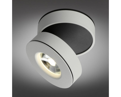 Сделать заказ Накладной светильник Omnilux OML-101909-12| VIVID-LIGHT.RU