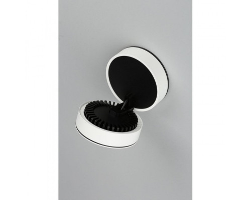 Сделать заказ Накладной светильник Omnilux OML-101909-12| VIVID-LIGHT.RU