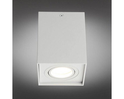 Заказать Накладной светильник Omnilux OML-101109-01| VIVID-LIGHT.RU