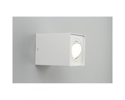 Заказать Накладной светильник Omnilux OML-101109-01| VIVID-LIGHT.RU