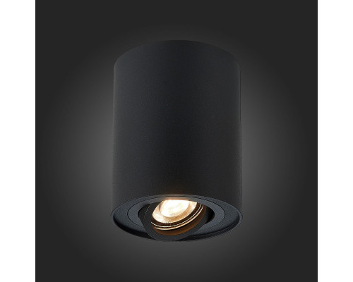 Оформить заказ Накладной светильник ST-Luce ST108.417.01| VIVID-LIGHT.RU