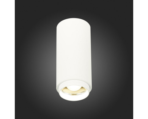 Оформить заказ Накладной светильник ST-Luce ST600.542.10| VIVID-LIGHT.RU