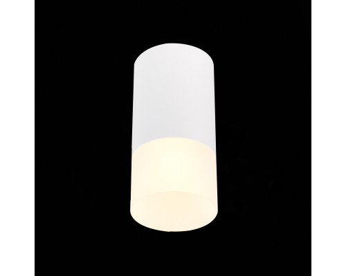 Купить Накладной светильник ST-Luce ST100.512.01| VIVID-LIGHT.RU