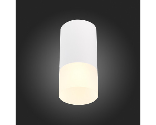 Купить Накладной светильник ST-Luce ST100.512.01| VIVID-LIGHT.RU