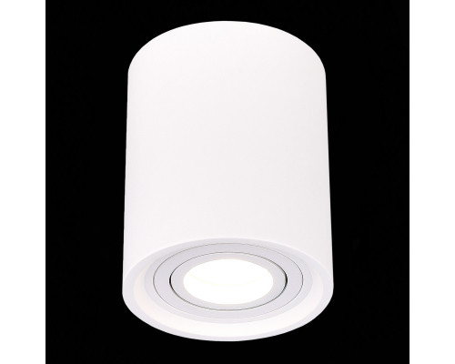 Оформить заказ Накладной светильник ST-Luce ST156.502.01| VIVID-LIGHT.RU