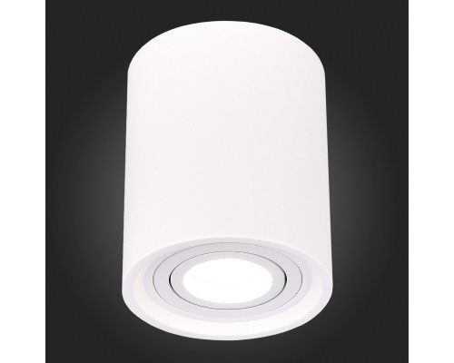 Оформить заказ Накладной светильник ST-Luce ST156.502.01| VIVID-LIGHT.RU