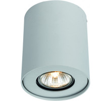 Накладной светильник ARTE Lamp A5633PL-1WH