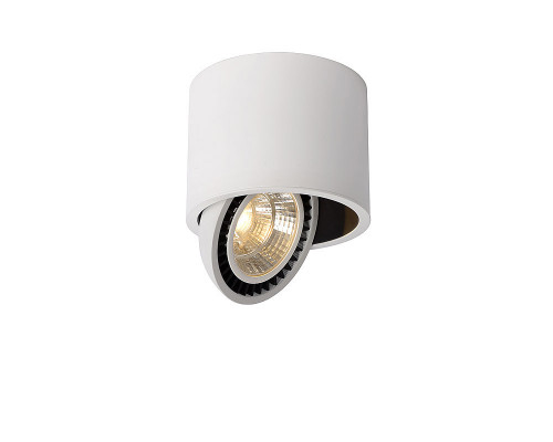 Оформить заказ Накладной светильник 33956/20/31 LUCIDE| VIVID-LIGHT.RU