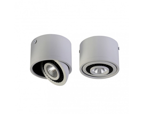 Оформить заказ Накладной светильник Favourite 1775-1C| VIVID-LIGHT.RU