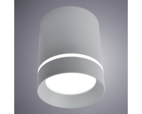 Заказать Накладной светильник ARTE Lamp A1909PL-1GY| VIVID-LIGHT.RU