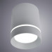 Заказать Накладной светильник ARTE Lamp A1909PL-1GY| VIVID-LIGHT.RU