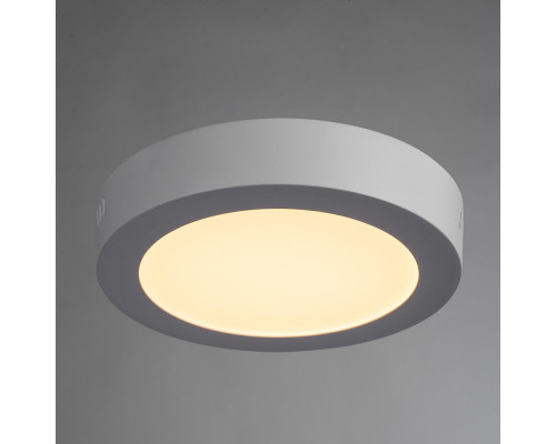 Купить Накладной светильник ARTE Lamp A3012PL-1WH| VIVID-LIGHT.RU
