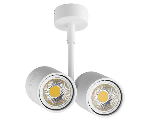 Заказать Накладной светильник Lightstar 214446| VIVID-LIGHT.RU