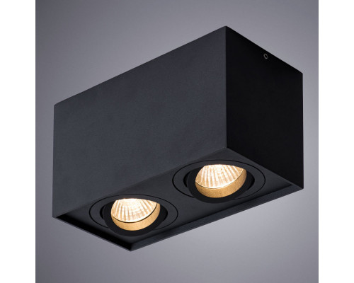 Купить Накладной светильник ARTE Lamp A5544PL-2BK| VIVID-LIGHT.RU