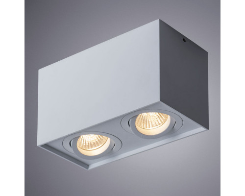 Купить Накладной светильник ARTE Lamp A5544PL-2WH| VIVID-LIGHT.RU