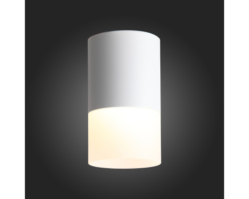 Сделать заказ Накладной светильник ST-Luce ST100.502.10| VIVID-LIGHT.RU