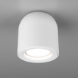 Накладной светильник Elektrostandard DLN116 GU10 белый