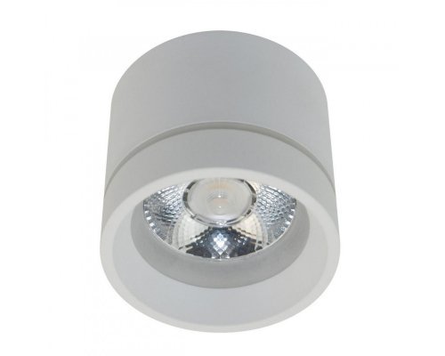 Сделать заказ Накладной светильник APLOYT APL.0044.09.05| VIVID-LIGHT.RU