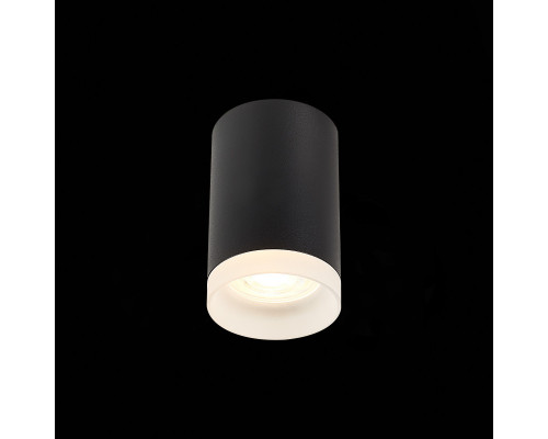 Заказать Накладной светильник ST-Luce ST100.402.01| VIVID-LIGHT.RU