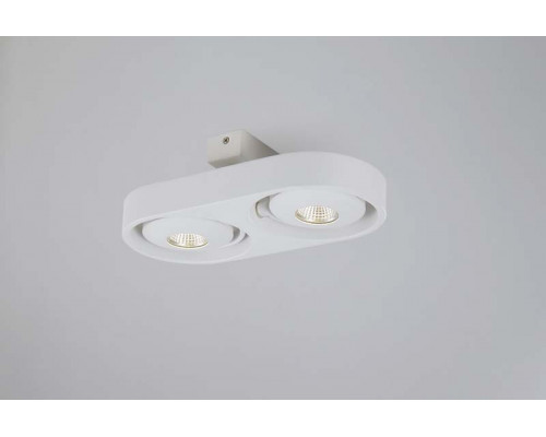 Заказать Накладной светильник Donolux DL18697/12WW-White| VIVID-LIGHT.RU