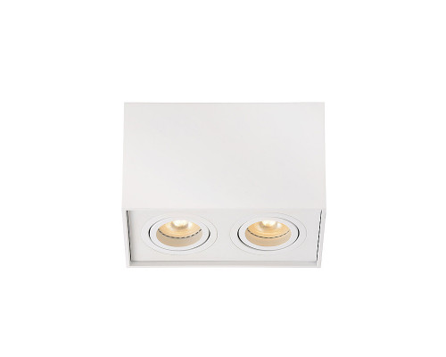 Оформить заказ Накладной светильник LUCIDE 22953/02/31| VIVID-LIGHT.RU