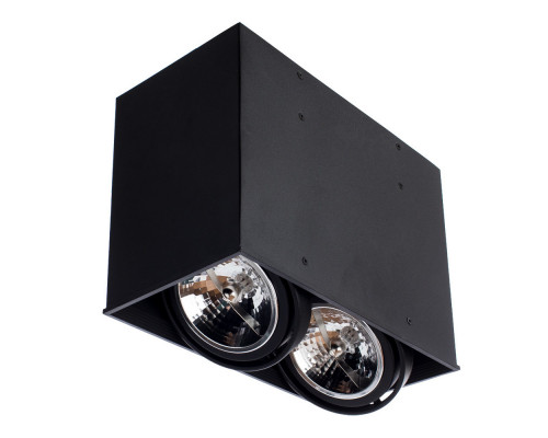 Оформить заказ Накладной светильник ARTE Lamp A5936PL-2BK| VIVID-LIGHT.RU