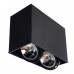 Оформить заказ Накладной светильник ARTE Lamp A5936PL-2BK| VIVID-LIGHT.RU