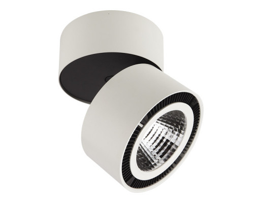 Сделать заказ Накладной светильник Lightstar 214830| VIVID-LIGHT.RU