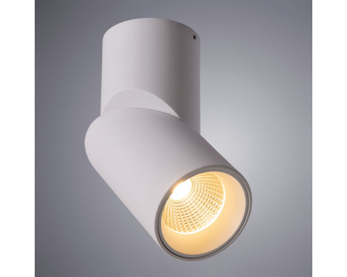 Купить Накладной светильник ARTE Lamp A7717PL-1WH| VIVID-LIGHT.RU