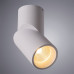 Купить Накладной светильник ARTE Lamp A7717PL-1WH| VIVID-LIGHT.RU