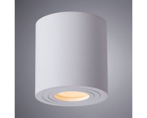 Заказать Накладной светильник ARTE Lamp A1460PL-1WH| VIVID-LIGHT.RU