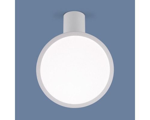 Заказать Накладной светильник Elektrostandard DLS029 12W 4200K белый матовый| VIVID-LIGHT.RU