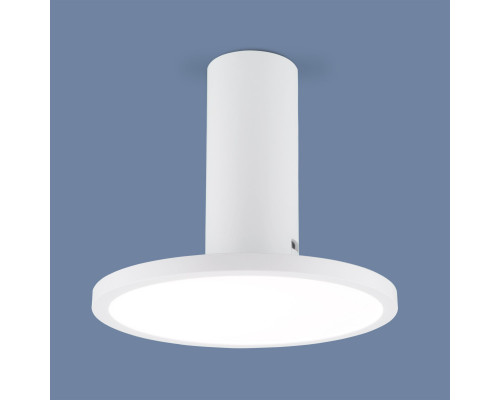 Заказать Накладной светильник Elektrostandard DLS029 12W 4200K белый матовый| VIVID-LIGHT.RU