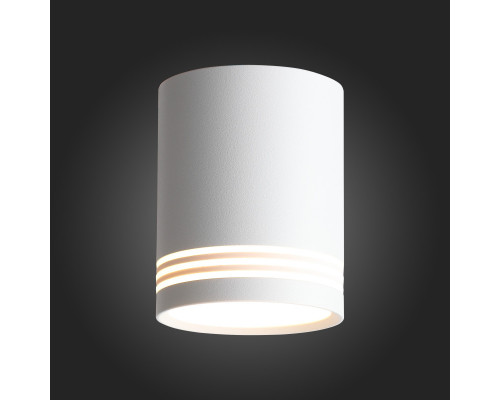 Сделать заказ Накладной светильник ST-Luce ST101.502.12| VIVID-LIGHT.RU