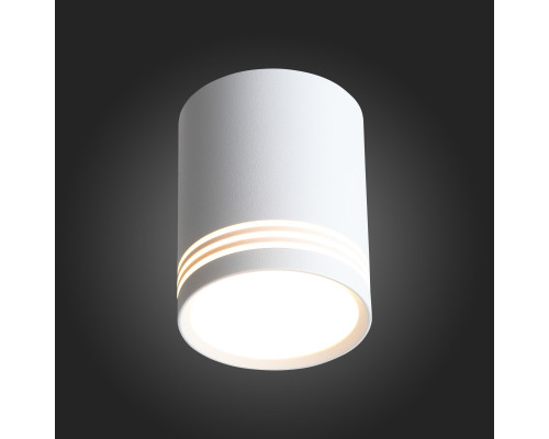 Сделать заказ Накладной светильник ST-Luce ST101.502.12| VIVID-LIGHT.RU