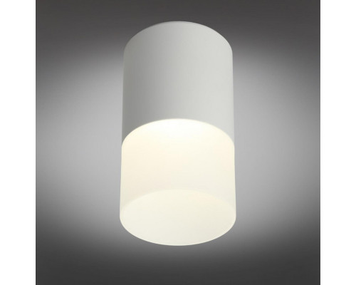 Заказать Накладной светильник Omnilux OML-100009-05| VIVID-LIGHT.RU