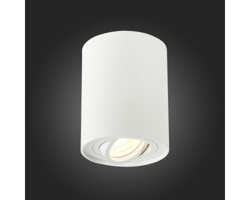 Сделать заказ Накладной светильник ST-Luce ST108.517.01| VIVID-LIGHT.RU