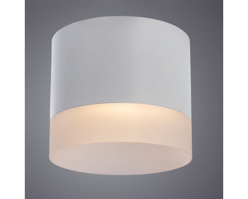 Сделать заказ Накладной светильник ARTE Lamp A5554PL-1WH| VIVID-LIGHT.RU