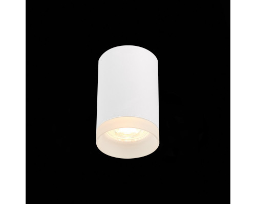 Заказать Накладной светильник ST-Luce ST100.502.01| VIVID-LIGHT.RU