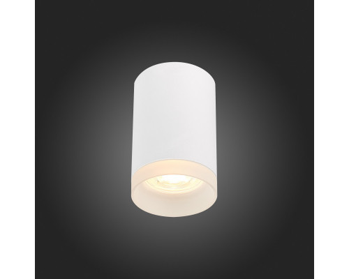 Заказать Накладной светильник ST-Luce ST100.502.01| VIVID-LIGHT.RU