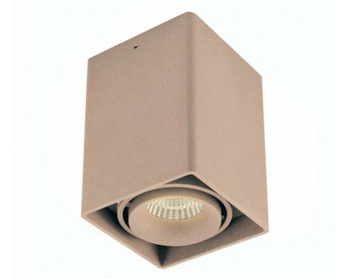 Купить Накладной светильник Donolux DL18610/01WW-SQ Champagne| VIVID-LIGHT.RU