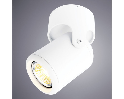 Оформить заказ Накладной светильник ARTE Lamp A3316PL-1WH| VIVID-LIGHT.RU