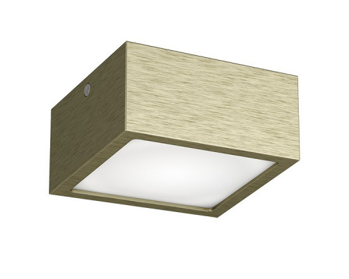 Сделать заказ Накладной светильник Lightstar 213921| VIVID-LIGHT.RU