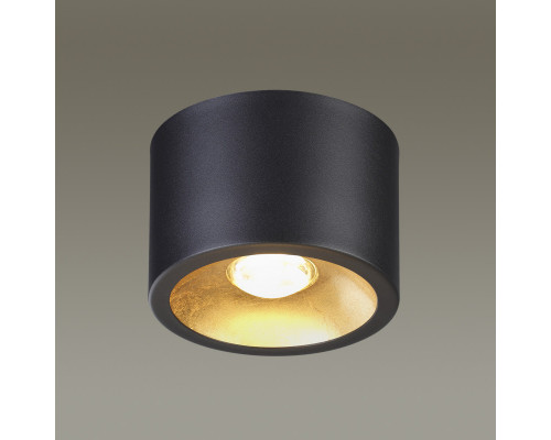 Оформить заказ Накладной светильник Odeon Light 3878/1CL| VIVID-LIGHT.RU