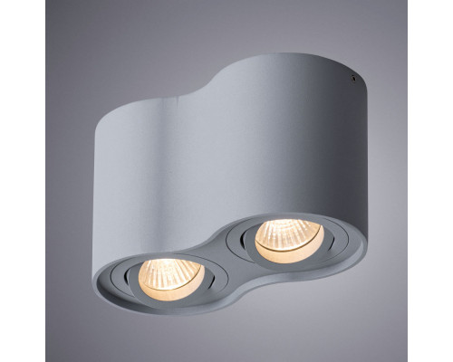 Сделать заказ Накладной светильник ARTE Lamp A5645PL-2GY| VIVID-LIGHT.RU