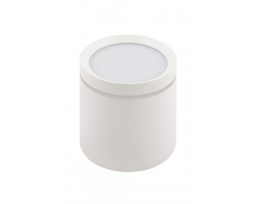 Купить Накладной светильник Denkirs DK4016-WH| VIVID-LIGHT.RU