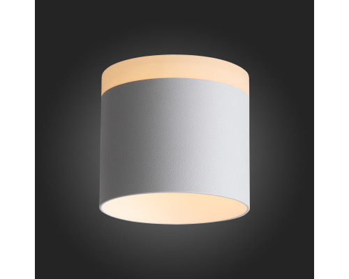 Заказать Накладной светильник ST-Luce ST102.502.12| VIVID-LIGHT.RU