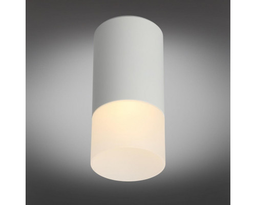 Оформить заказ Накладной светильник Omnilux OML-100609-01| VIVID-LIGHT.RU